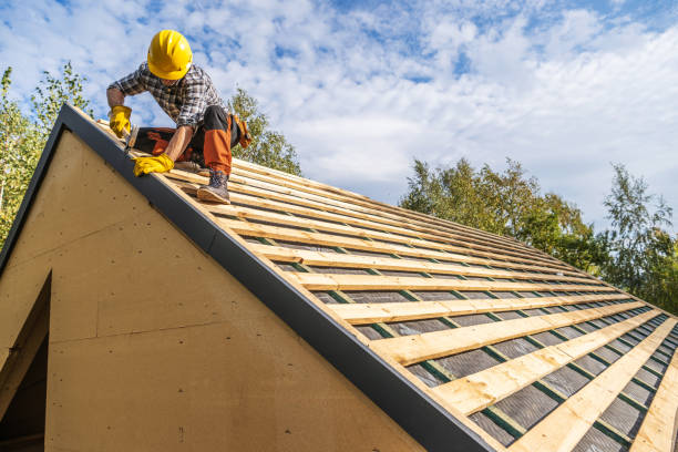 Best Roof Gutter Cleaning  in Ozona, TX