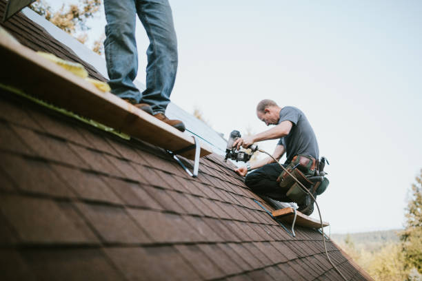 Best Storm Damage Roof Repair  in Ozona, TX