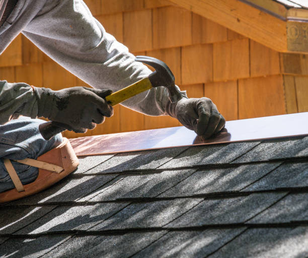 Best Metal Roofing Contractor  in Ozona, TX